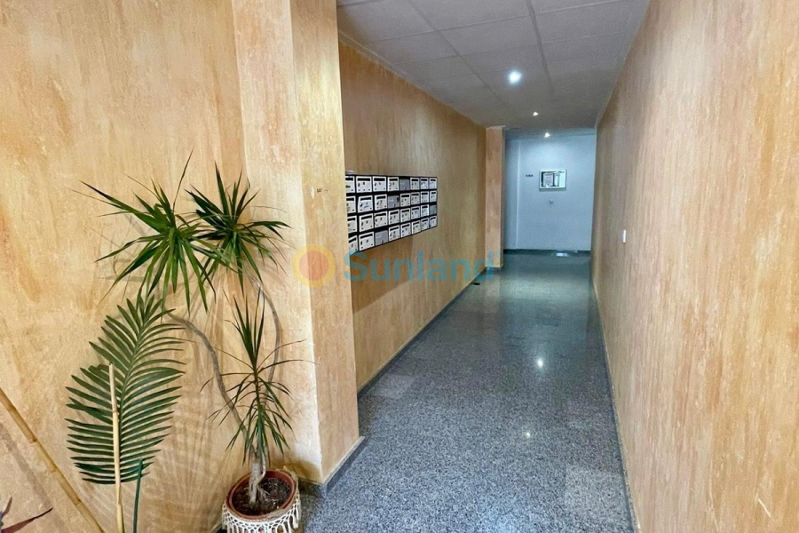 Segunda mano - A - Benijofar - Pueblo 4