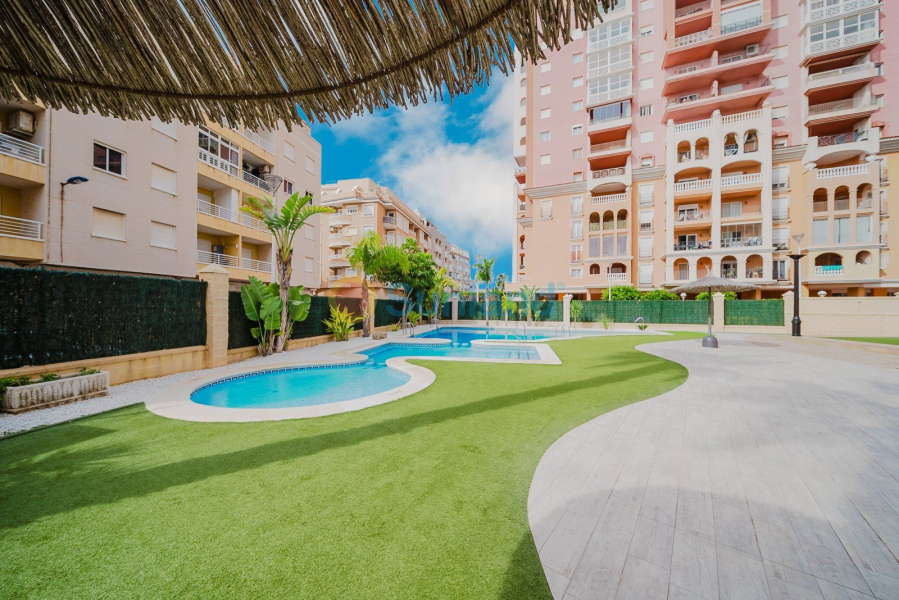 Brukte eiendommer - Apartamento - Torrevieja - Playa de Los Locos