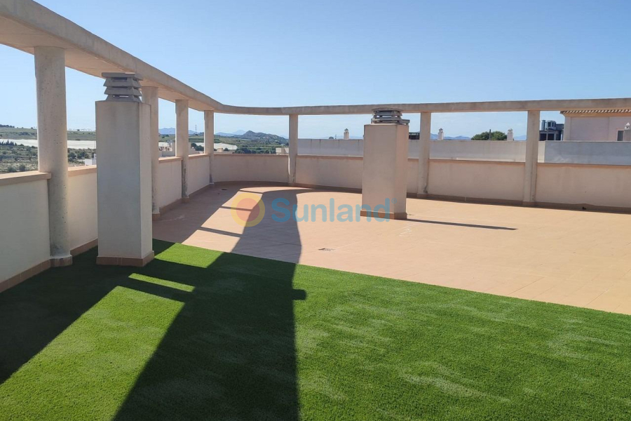 New Build - Apartment - San Miguel De Salinas