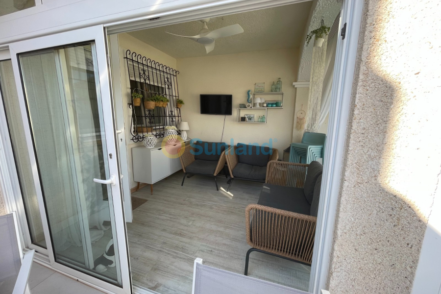 Segunda mano - Adosado - Torre de la Horadada