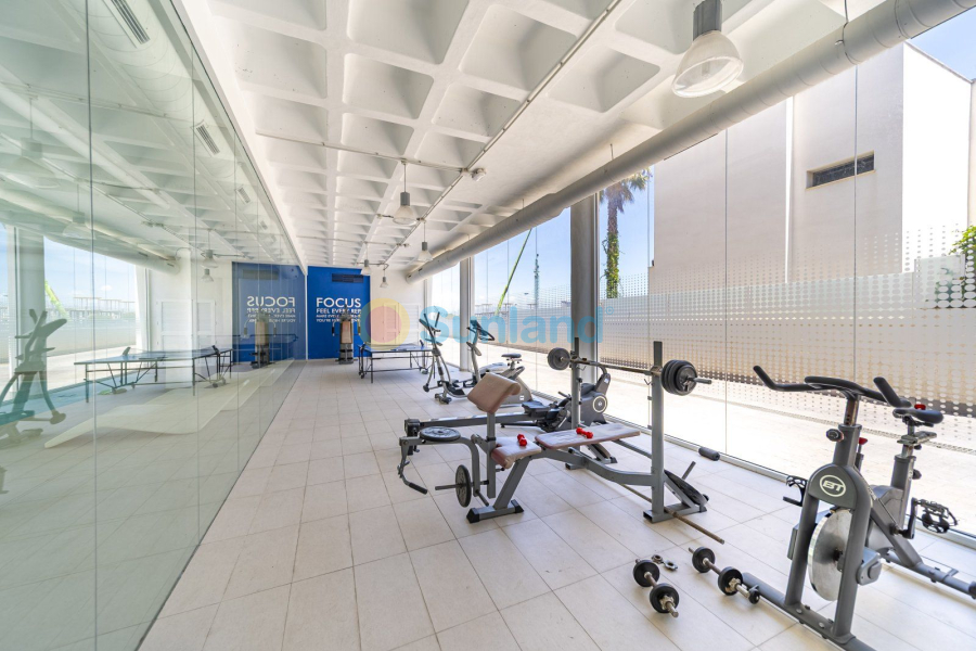 Segunda mano - Apartamento - Guardamar del Segura