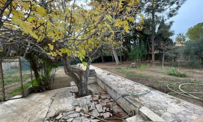 Brukte eiendommer - Villa - Elche