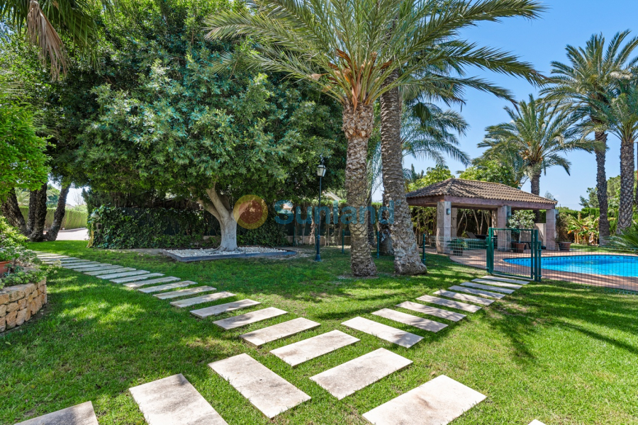 Resale - Villa - Elche/Elx