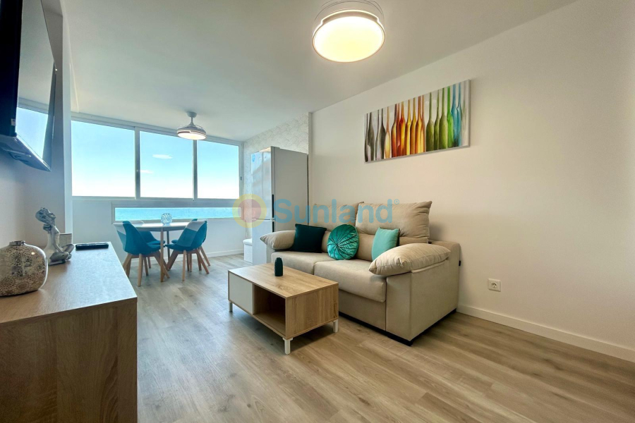 Long time Rental - Apartment - Torrevieja - Cabo Cervera