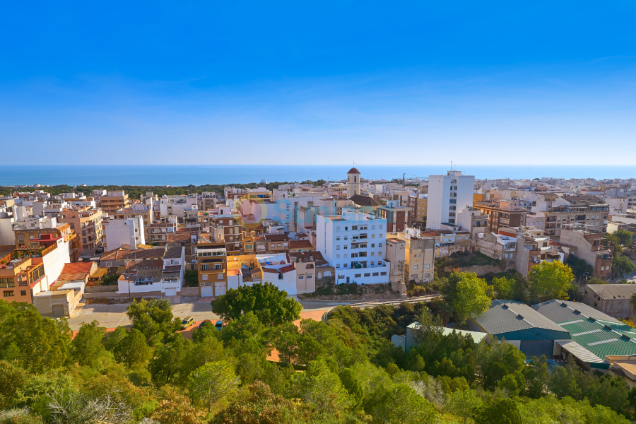 Verkauf - Land - Guardamar del Segura - 