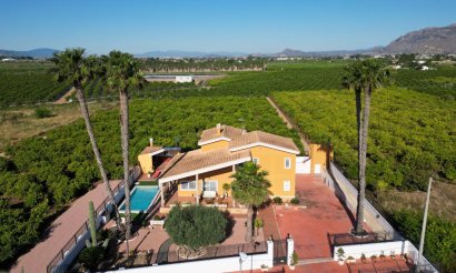 Resale - Villa - Orihuela - Correntías Medias