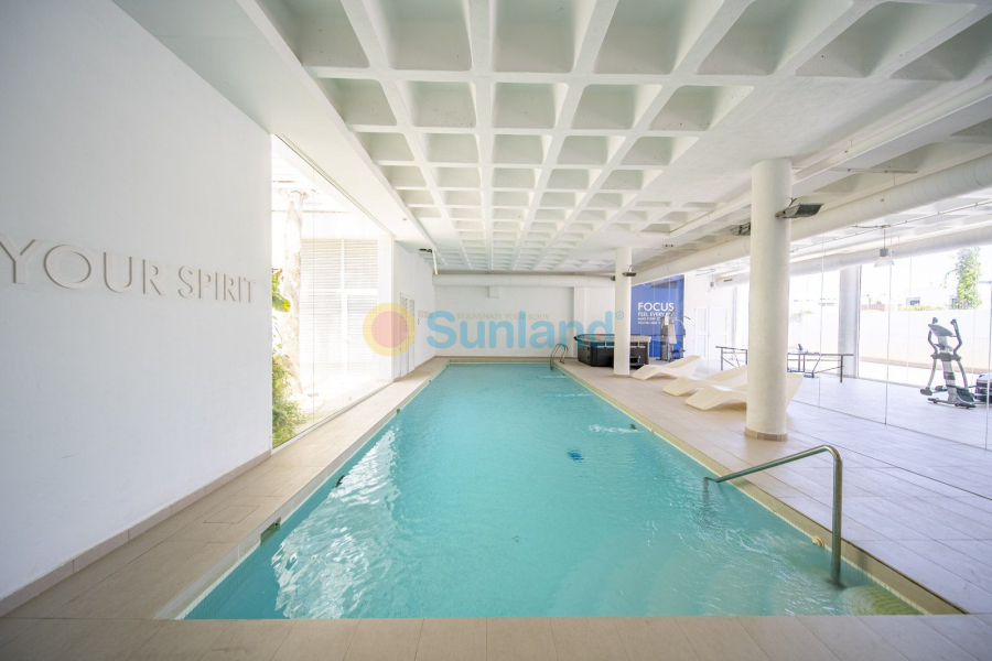 Segunda mano - Apartamento - Guardamar del Segura