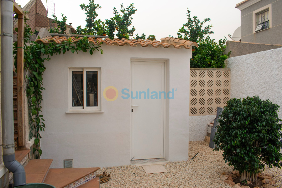 Segunda mano - Chalet - Torrevieja