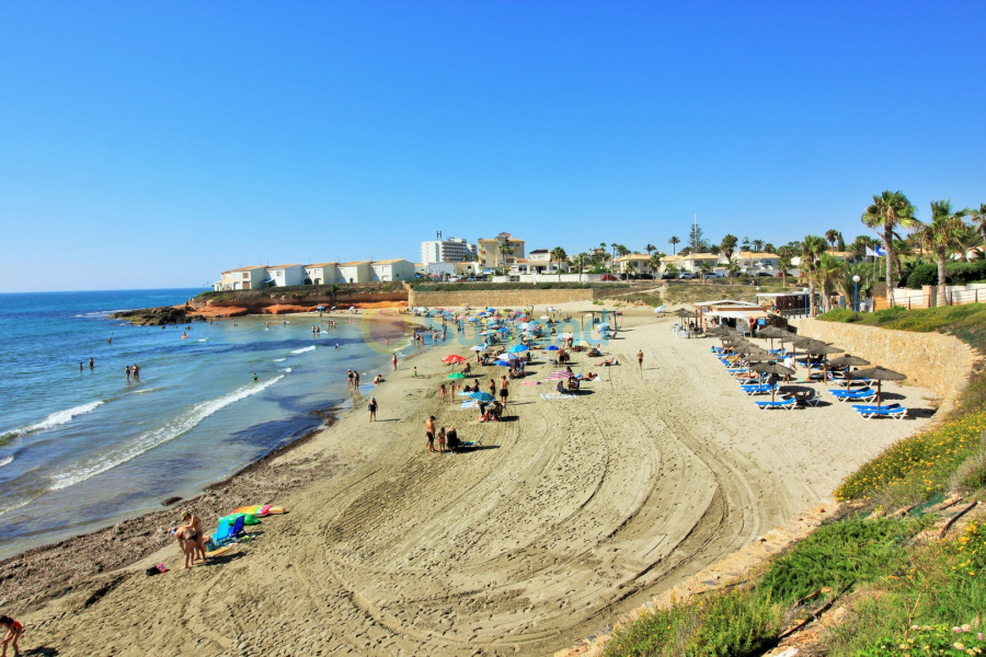 Segunda mano - Apartamento - Playa Flamenca