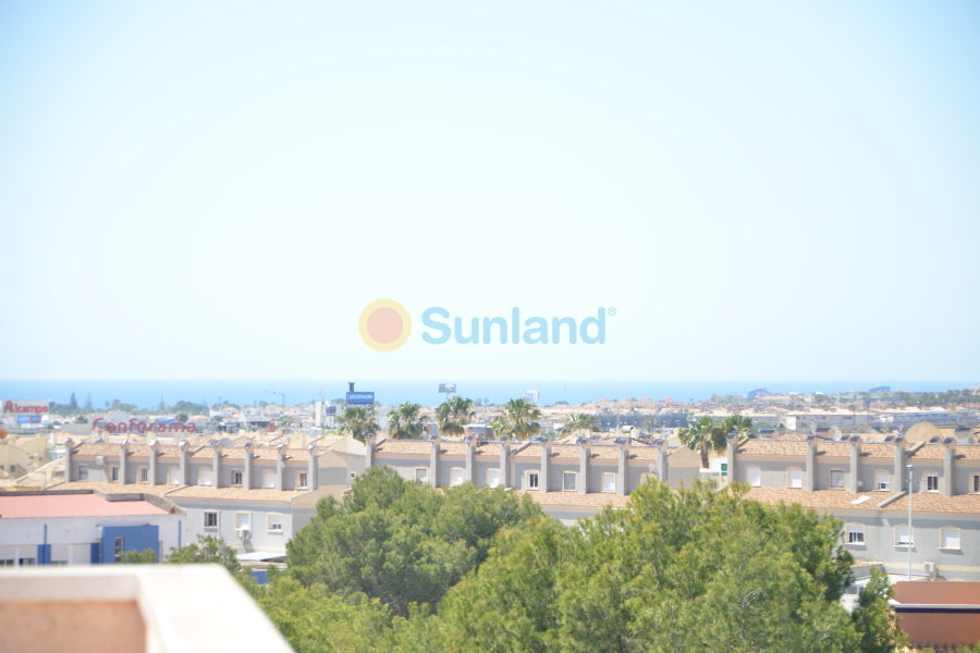 Segunda mano - Apartamento - Orihuela Costa - Playa Flamenca