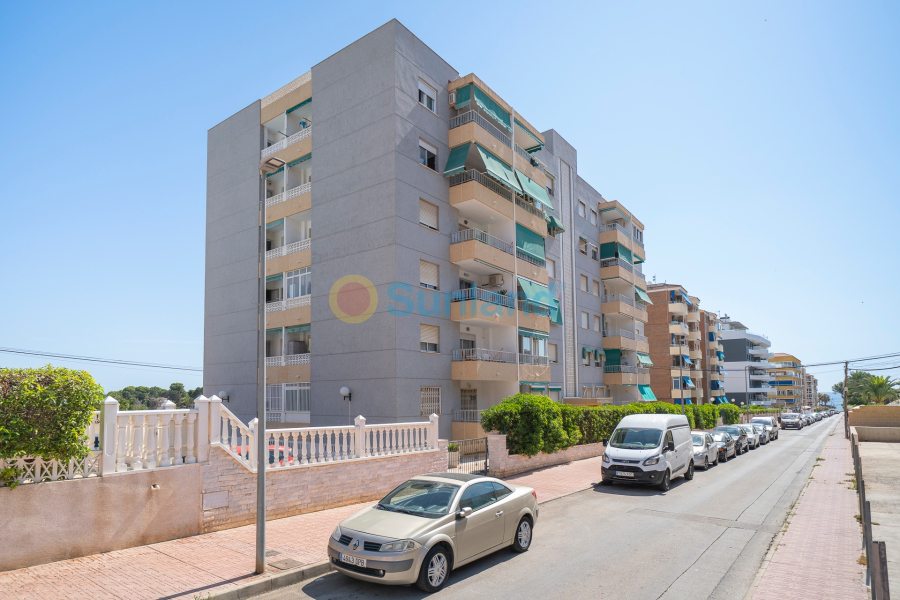 Segunda mano - Flat - Orihuela Costa - Punta Prima