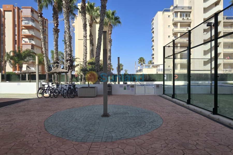 Resale - Apartment - Guardamar del Segura - 