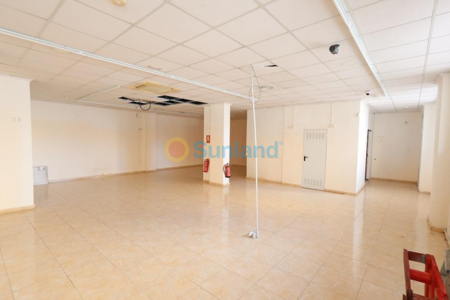 Segunda mano - C - Torrevieja - Estacion de autobuses