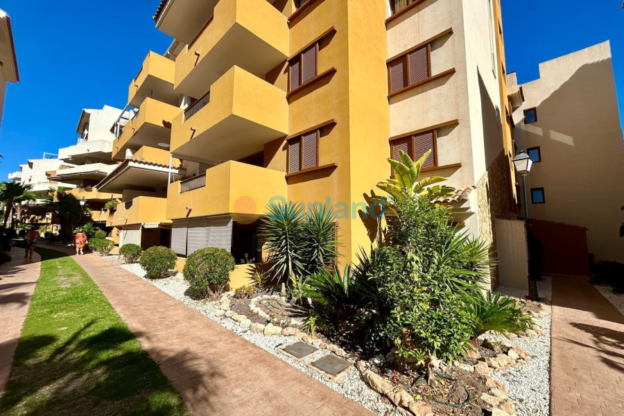 Segunda mano - Apartamento - Torrevieja - Punta Prima