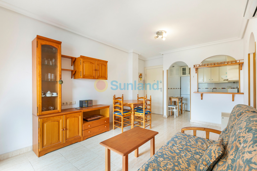 Använda fastigheter - Apartamento - Torrevieja - La Mata