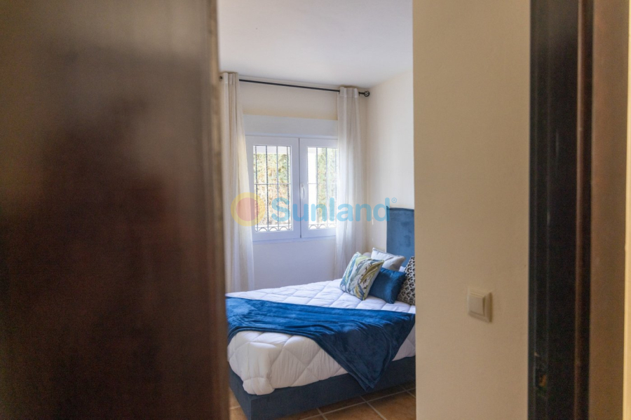 Ny bygg - Villa - Fuente Alamo - Las Palas