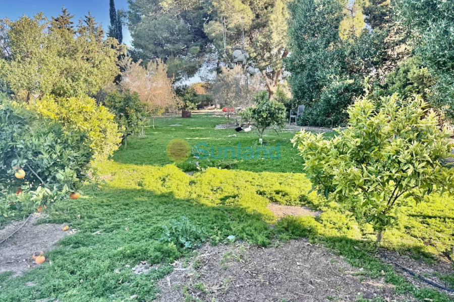 Resale - Villa - Guardamar del Segura