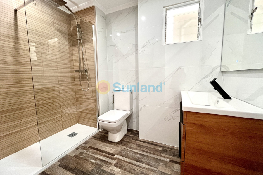 Segunda mano - A - San Miguel De Salinas