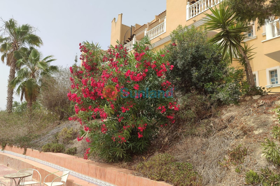 Segunda mano - Chalet - San Fulgencio - La Marina