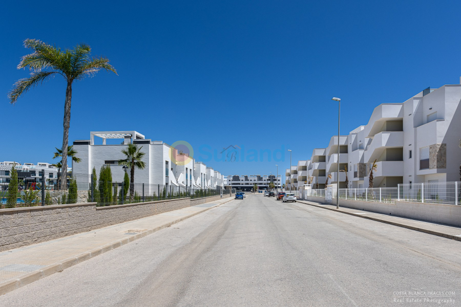 Använda fastigheter - Apartment / flat - Guardamar del Segura - El Raso