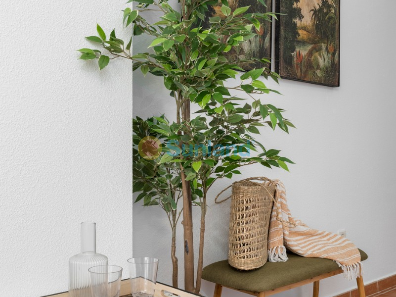 Använda fastigheter - Lägenhet - Guardamar del Segura