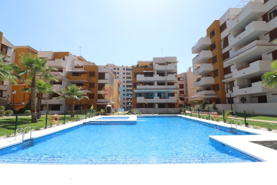 Segunda mano - Apartamento - Torrevieja - Punta Prima