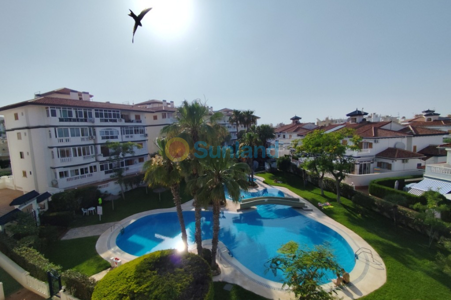 Resale - Apartment - La Mata