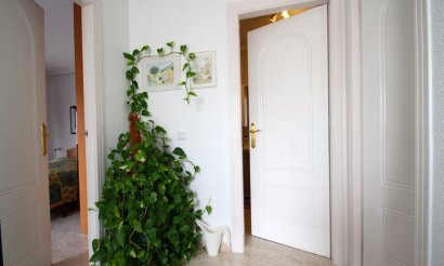 Resale -  - Ciudad Quesada - Doña pepa