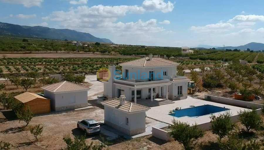 Ny bygg - Villa - Pinoso - Camino Del Prado