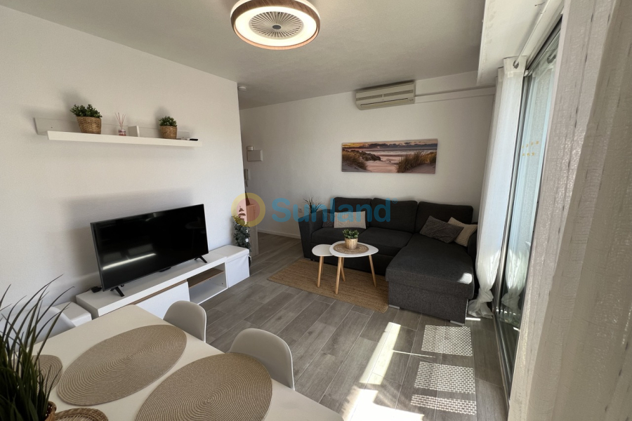 Använda fastigheter - Apartamento - Torrevieja - La Mata