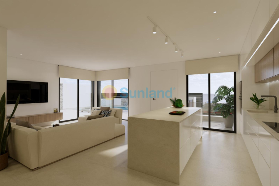 New Build - Villa - Dolores - Sector 3