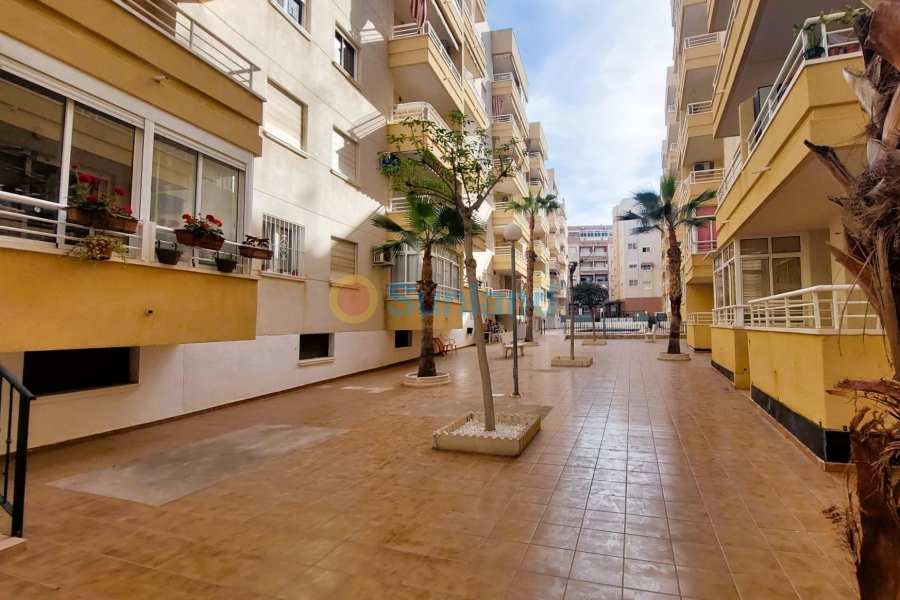 Använda fastigheter - Lägenhet - Torrevieja - Centro