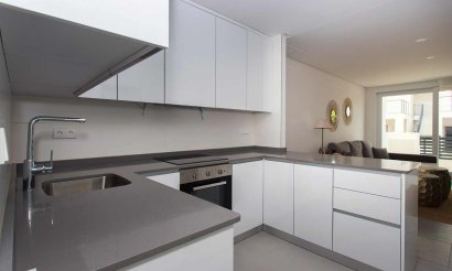 New Build - Villa - Torrevieia - 