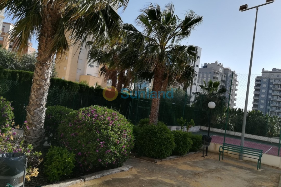 Resale - Apartment - Guardamar del Segura - 