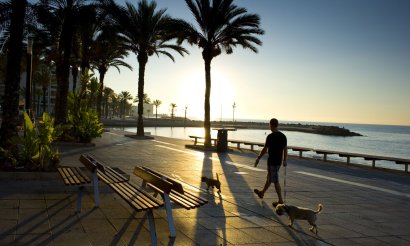 Ny bygg - Apartment - Flat - Torrevieia - Punta Prima