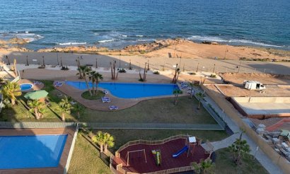 Neubau - Apartment - Flat - Torrevieia - Punta Prima
