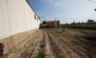 Verkauf - Finca - Formentera del Segura - Formentera de Segura