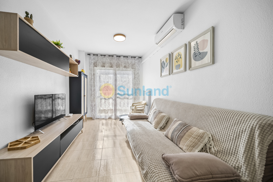 Använda fastigheter - Apartamento - Torrevieja - Centro