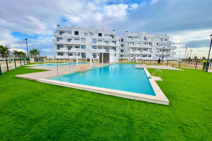 Resale - Apartamento - Los Alcázares - Santa Rosalía