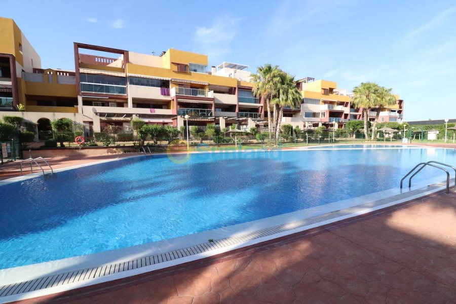 Brukte eiendommer - Toppleilighet - Orihuela Costa - Playa Flamenca Norte