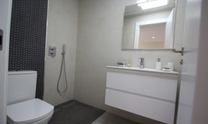 Neubau - Apartment - Flat - Guardamar del Segura
