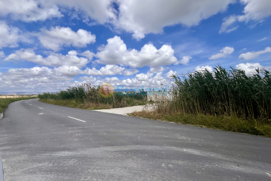 Använda fastigheter - P - Catral