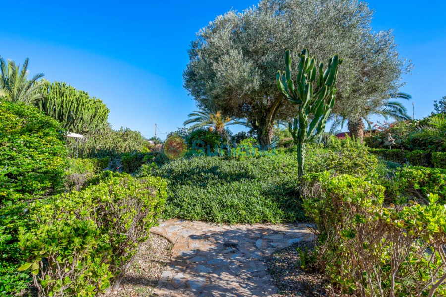 Segunda mano - Country house - Los Montesinos