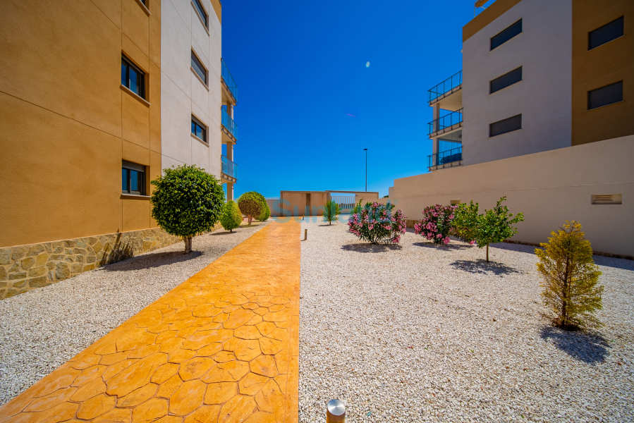 Segunda mano - Ático - Orihuela Costa - Villamartin