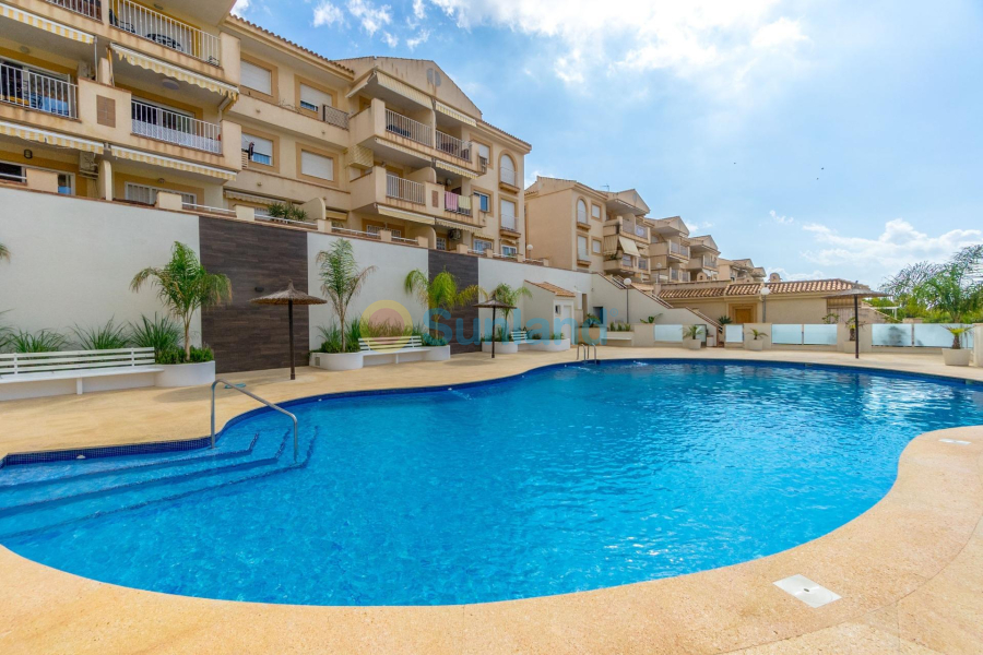 Segunda mano - Apartamento - Orihuela Costa - Campoamor