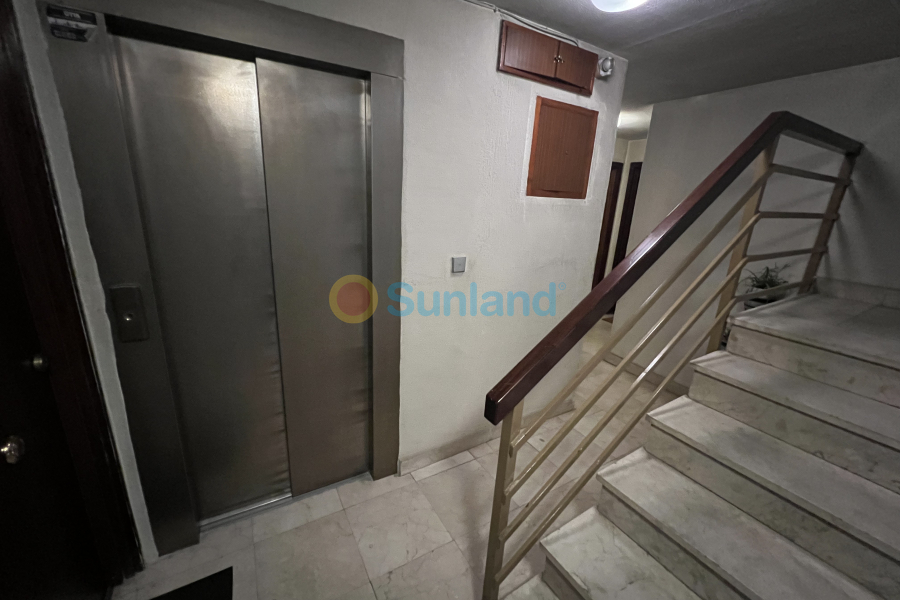 Brukte eiendommer - Apartamento - Torrevieja