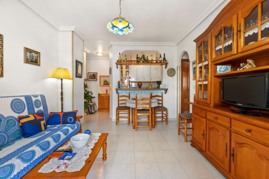 Segunda mano - Apartamento - Torrevieja - Los Europeos