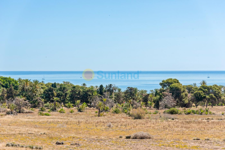 Använda fastigheter - Lägenhet - Torrevieja - Punta Prima