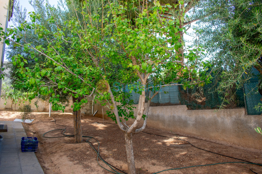 Segunda mano - Chalet - Orihuela Costa - Mil Palmeras