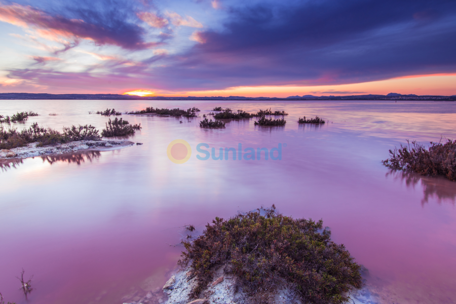 Resale - Apartment - Torrevieja - La Mata